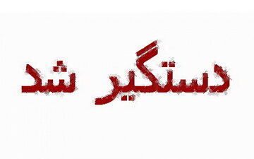 کلاهبردار حرفه‌ای به دام افتاد