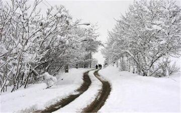 آغاز برف و باران در نقاط غربی کشور