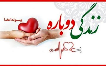 مادر تویسرکانی ، به ۱۲ نفر جانی دوباره بخشید

