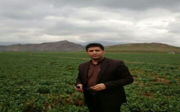 ‍ مبارزه با بیماری زنگ زرد غلات درشهرستان کرمانشاه