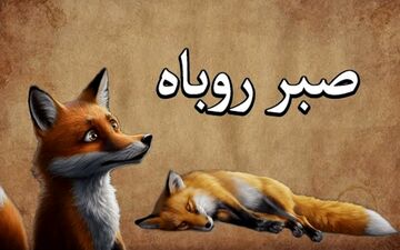 حکایت مرد پوستین‌دوز و روباه گرسنه| وقتی کارد به استخوان رسید