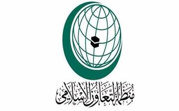 سازمان همکاری اسلامی تجاوز صهیونیست‌ها به غزه را محکوم کرد