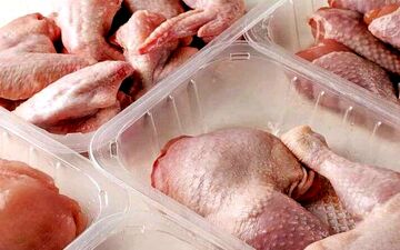 هر کیلو گوشت بوقلمون چند؟ | جدیدترین قیمت شقه کامل، سینه، ران و فیله بوقلمون در میادین و مغازه ها