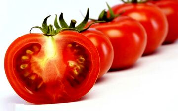 عوارض رگه های سفید گوجه فرنگی