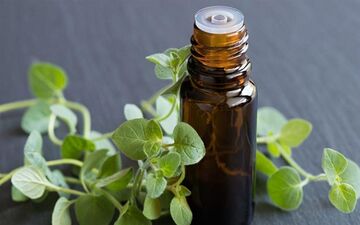 روغن آویشن چیست و چه کاربردی دارد؟