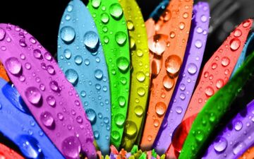 می‌خوای بدونی دارای چه شخصیتی هستی؟ رنگ مورد علاقه ات رو بگو تا بهت بگم!
