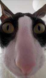 i-am-a-photographer-tiktok-trend-funny-653236cc5f82b700-654480a47c0c309f944305b8
