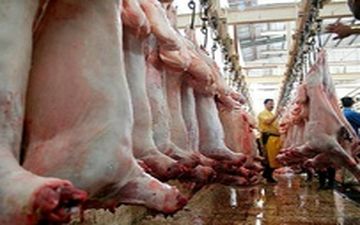 قیمت گوشت گوساله ۳۰ و گوسفند ۱۵ هزار تومان باید کاهش یابد