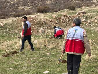 گزارش تصویری کاشت بذر بلوط در دامنه زاگرس توسط سمن های مردم نهاد و موسسه خیریه مهرگان 