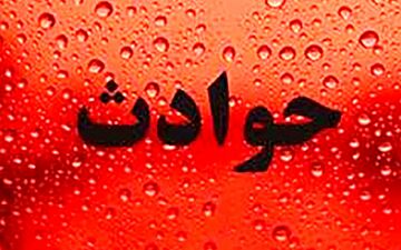 چک مرد مُرده، اسرار باند سرقت را فاش کرد!