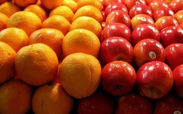 واگذاری میوه شب عید به بخش خصوصی؛ سیب و پرتقال با چه نرخی عرضه می‌شود؟
