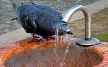 گرمای تهران رکورد زد