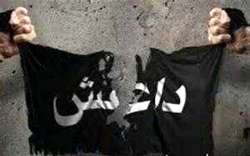 «ایمن اسپایکر» به دام افتاد/داعشی که صدها نفر را کُشت
