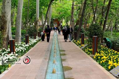  باغ ایرانی  بوستان  لاله های رنگین 