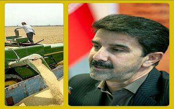 
تمدید مهلت تحویل گندم تولیدی کشاورزان به مراکز خرید