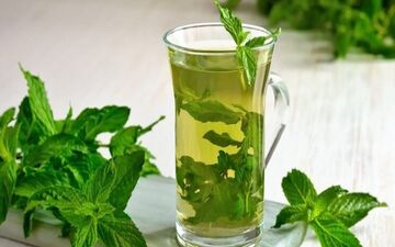 آشنایی با خواص جادویی «عرق نعنا»