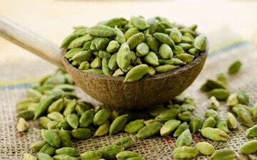 یک داروی گیاهی و خواصی فوق العاده


