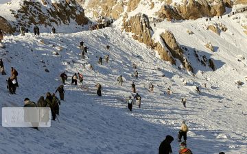 کولبر سقزی بر اثر سرما جانباخت
