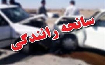 مشاور معاون پارلمان مدیر حقوقی و مجلس معاونت علمی و فناوری ریاست جمهوری جان باخت