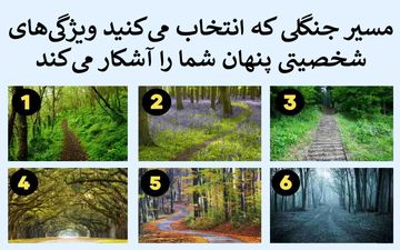 تست شخصیت؛ کدام مسیر جنگلی را انتخاب می‌کنید
