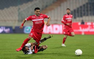 منع جدید گل محمدی برای آل کثیر