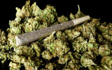 سن مصرف «گل» پایین آمد