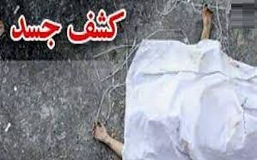 کشف جسد تکه تکه شده و سوخته یک زن در سطل زباله محله خزانه + جزییات