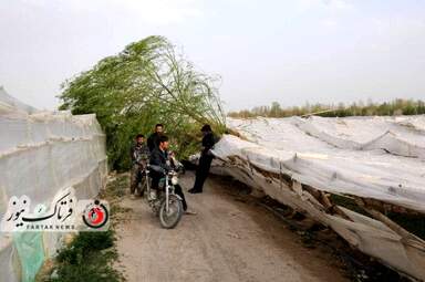 خسارت وارده به زراعت استاد اصفهان 