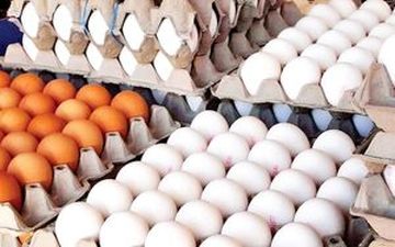 قیمت تخم مرغ در میادین تره بار