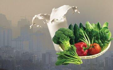 تاثیر شیر برای دفع آلودگی هوا باور غلط نیست! 