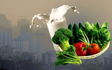 تاثیر شیر برای دفع آلودگی هوا باور غلط نیست! 