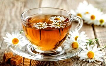تاثیر این نوشیدنی ها بر ذهن خلاق