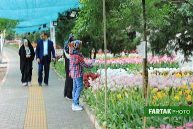 گزارش تصویری از پیاده راه لاله برای مادران 