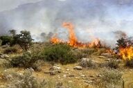 مهار آتش‌سوزی در منطقه حفاظت‌شده دیل