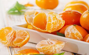 اگه میخواین از بیماری های این فصل در امان باشید حتما بخوانید!