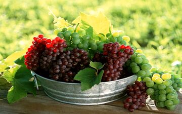 کدام میوه ها چربی سوزی بیشتری دارند؟