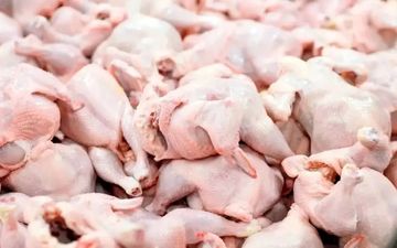 توزیع مرغ دولتی ۸۶ هزار تومانی آغاز شد؛ مراکز عرضه کجاست؟