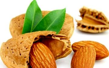 بدون بادام زندگی ممنوع!

