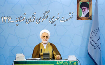 صحبت‎های سخنگوی قوه قضاییه درباره پرونده سید امامی + فیلم 