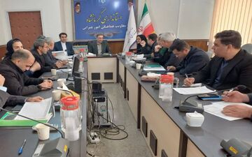  عملکرد بانک‌ها در حوزه پرداخت تسهیلات اشتغال روستایی ارزیابی می شود 