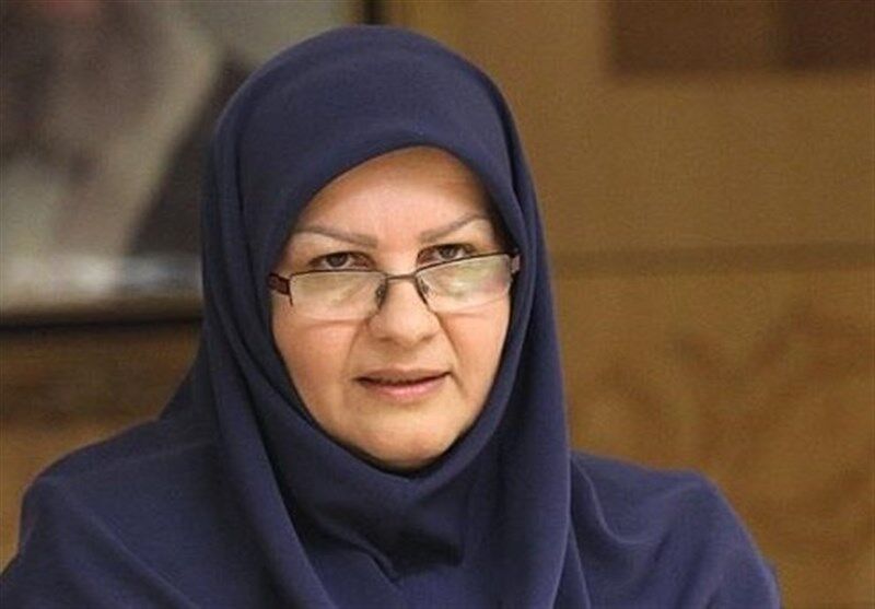 احتمال تعدیل برخی طرح های پتروشیمی/مجوز جدید برای طرح های متانول صادر نخواهد شد 