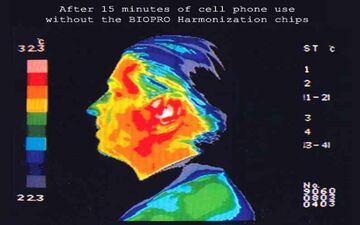 با مهندسی ژنتیک روند پیری کند می شود