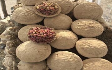 دفن انگور به شیوه افغانی + عکس