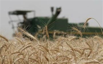 خرید قیمت تضمینی محصولات کشاورزی تداوم دارد