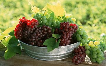از این میوه تابستانی غافل نشوید!