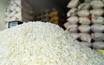 قیمت برنج مرغوب در شمال کشور چقدر است؟
