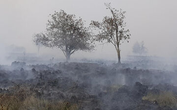 آتش‌سوزی گسترده در بلژیک، ۲۷۰۰ هکتار جنگل را در بر گرفت