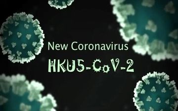کرونا ویروس HKU5-CoV2؛ یک قدم تا اپیدمی جدید؟ نقش خفاش‌ها چیست؟