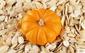 گنج کوچک سلامتی/ فایده‌ های شگفت‌انگیز این نوع تخمه که از آن بی خبرید