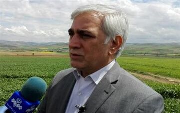 معاون وزیر جهاد کشاورزی: تولید محصولات کشاورزی در کشور افزایش می‌یابد
